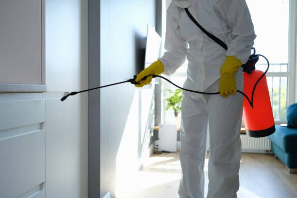 Best Mold Removal for HVAC Installations  in Cudjoe Key, FL